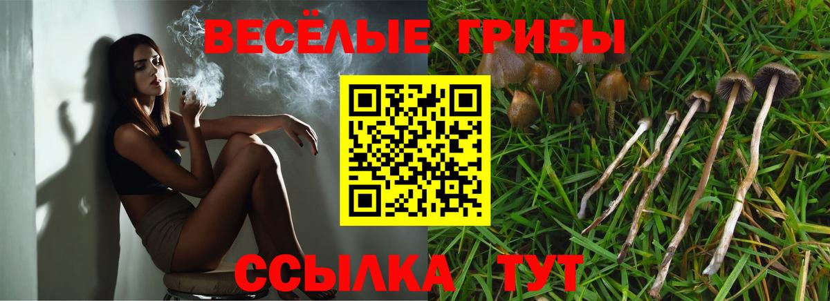 Галлюциногенные грибы Cubensis  Вход с VPN  Заволжье 
